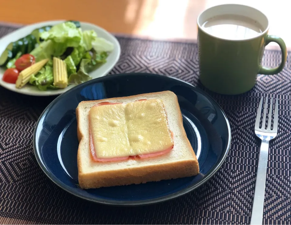 Snapdishの料理写真:本日の朝ごはん|mayukoさん