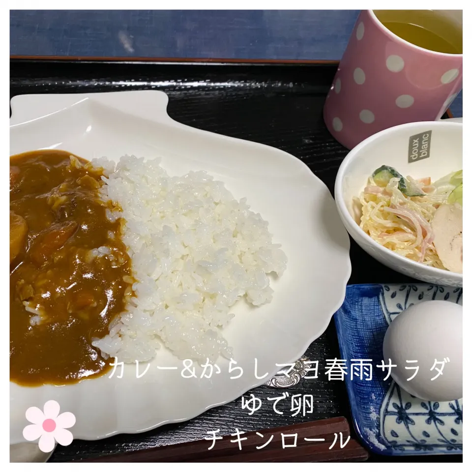 作り置き冷凍カレー|いのっちさん