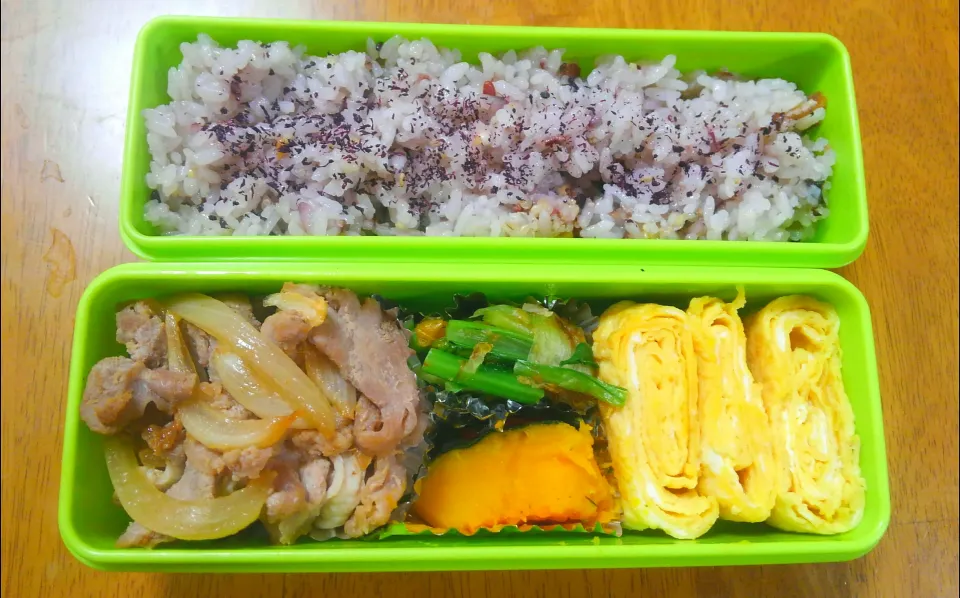 ３月３日　お弁当|いもこ。さん