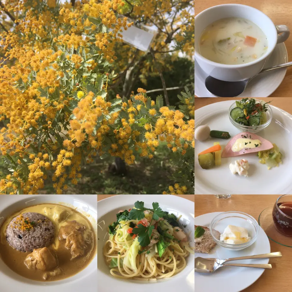 生活の木🌱🌿のランチ 飯能|にゃふてんさん