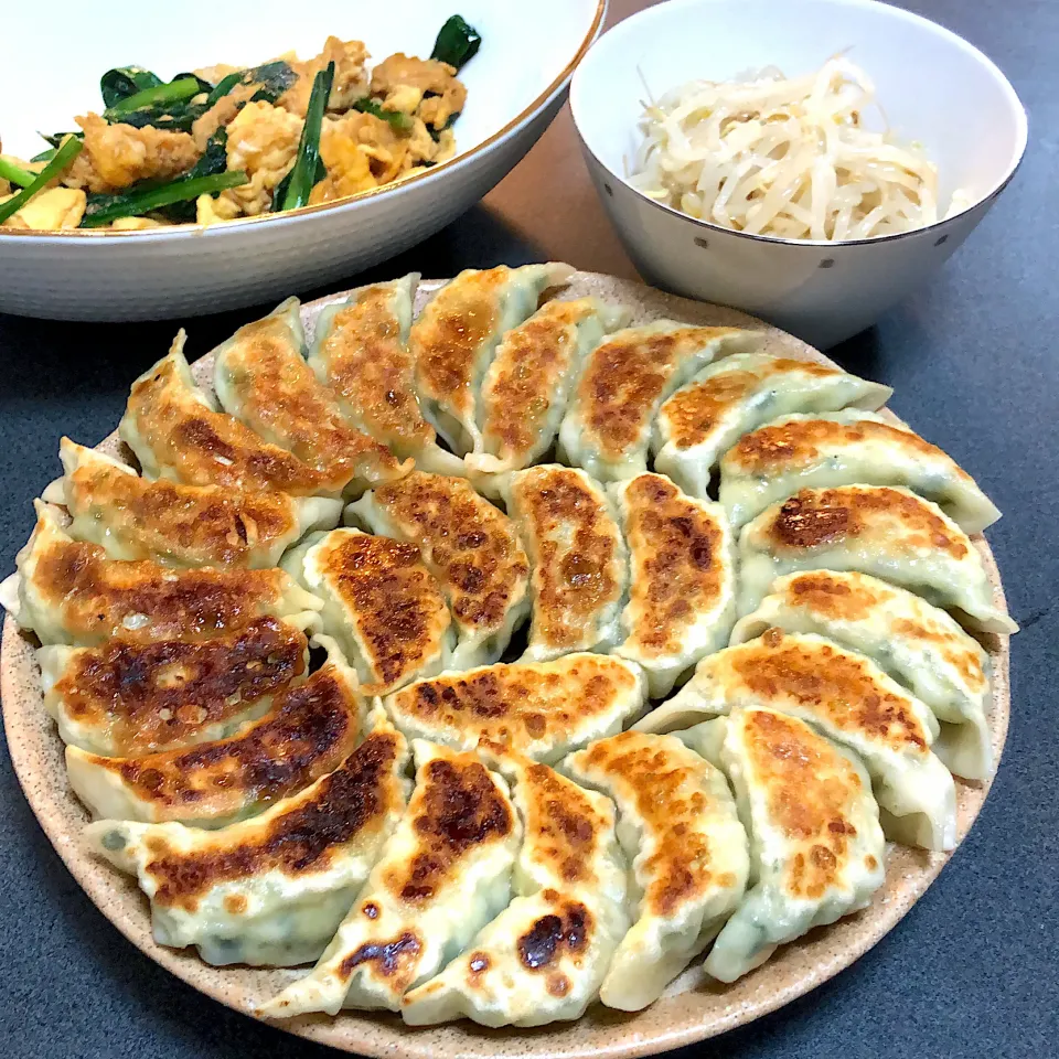 美味そうすぎる！餃子|ひとし。さん