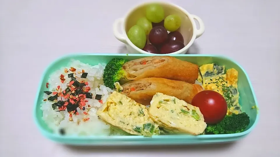 春巻きお弁当|えびぱんさん