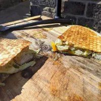 Snapdishの料理写真:Pesto chicken quesadillas|woody3785さん