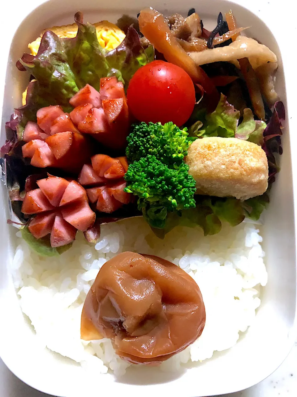 今日のお弁当🍱|ころりんさん