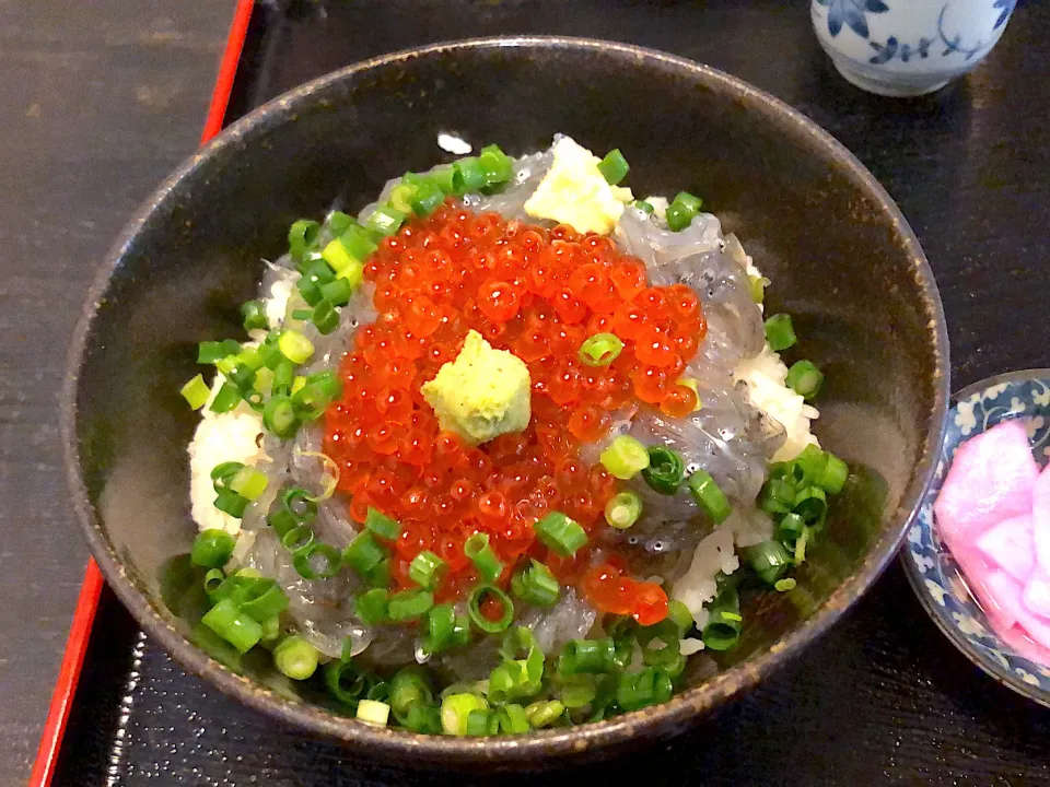 生しらす丼|るおんさん