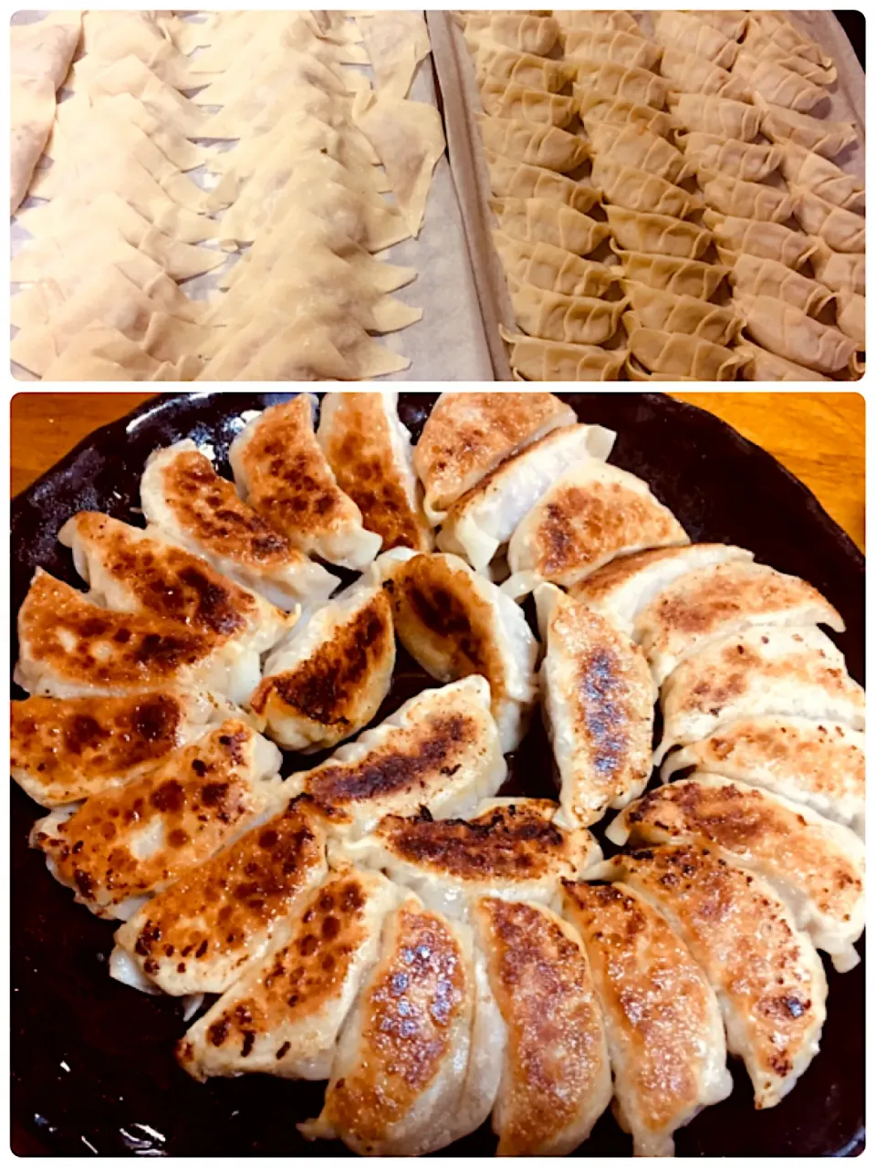 Snapdishの料理写真:餃子🥟100個 ワンタン30個（≧∇≦）|アリスさん