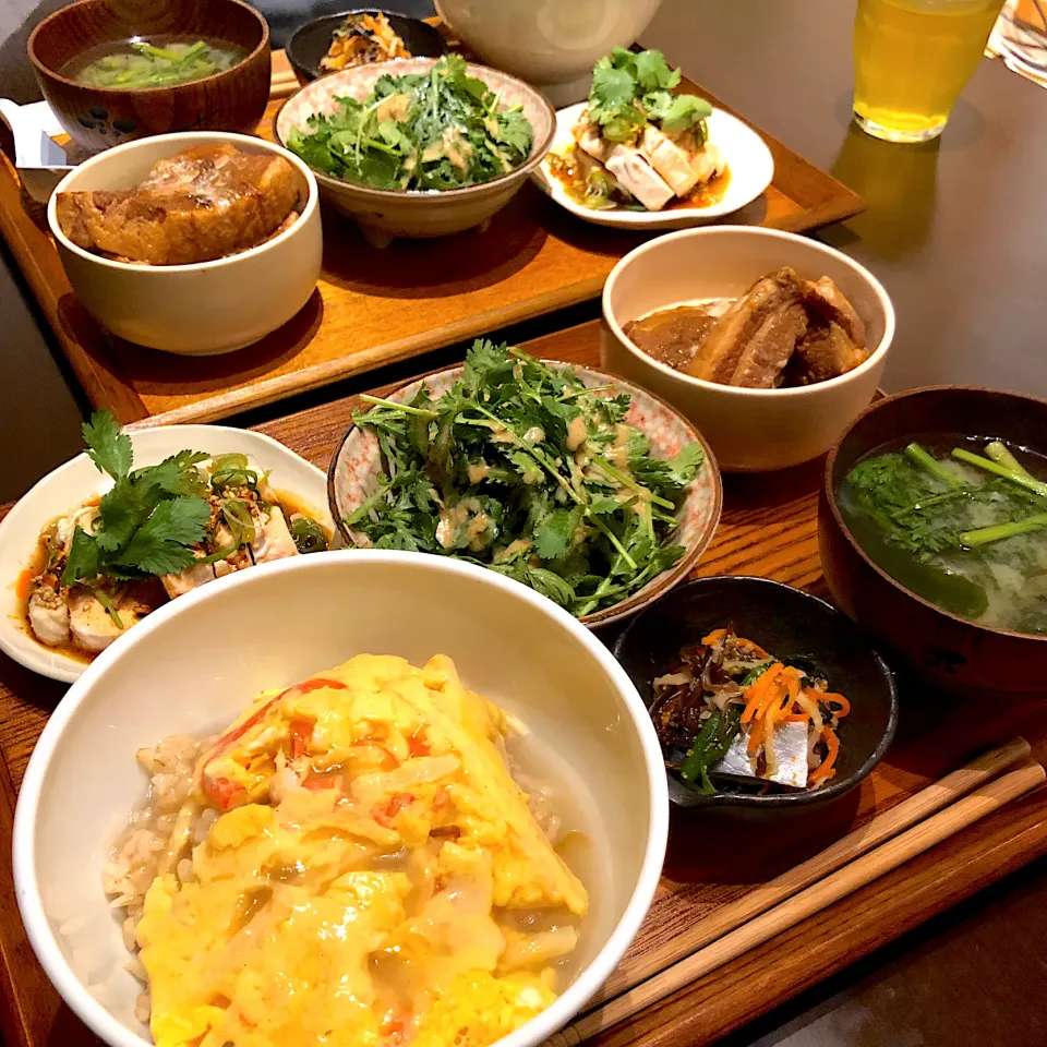 引きこもり定食(天津丼 豚角煮 よだれ鶏 パクチーサラダ にしん漬け 味噌汁)|ひとし。さん