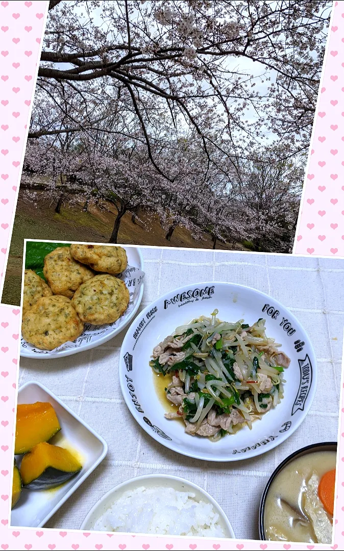 2020/03/30　昨日の晩ごはん💕と桜🌸|ちいたんさん