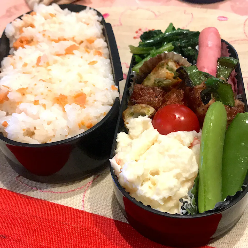 今日のお弁当🍱|mokoさん