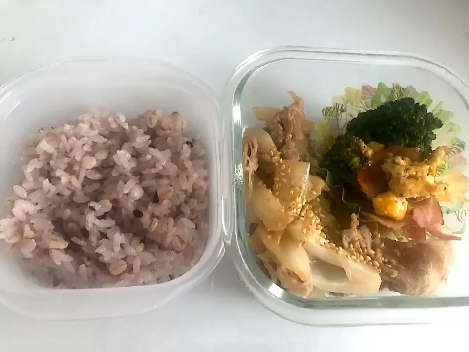 お弁当　生姜焼きとブロッコリーの中華炒め|あやさん