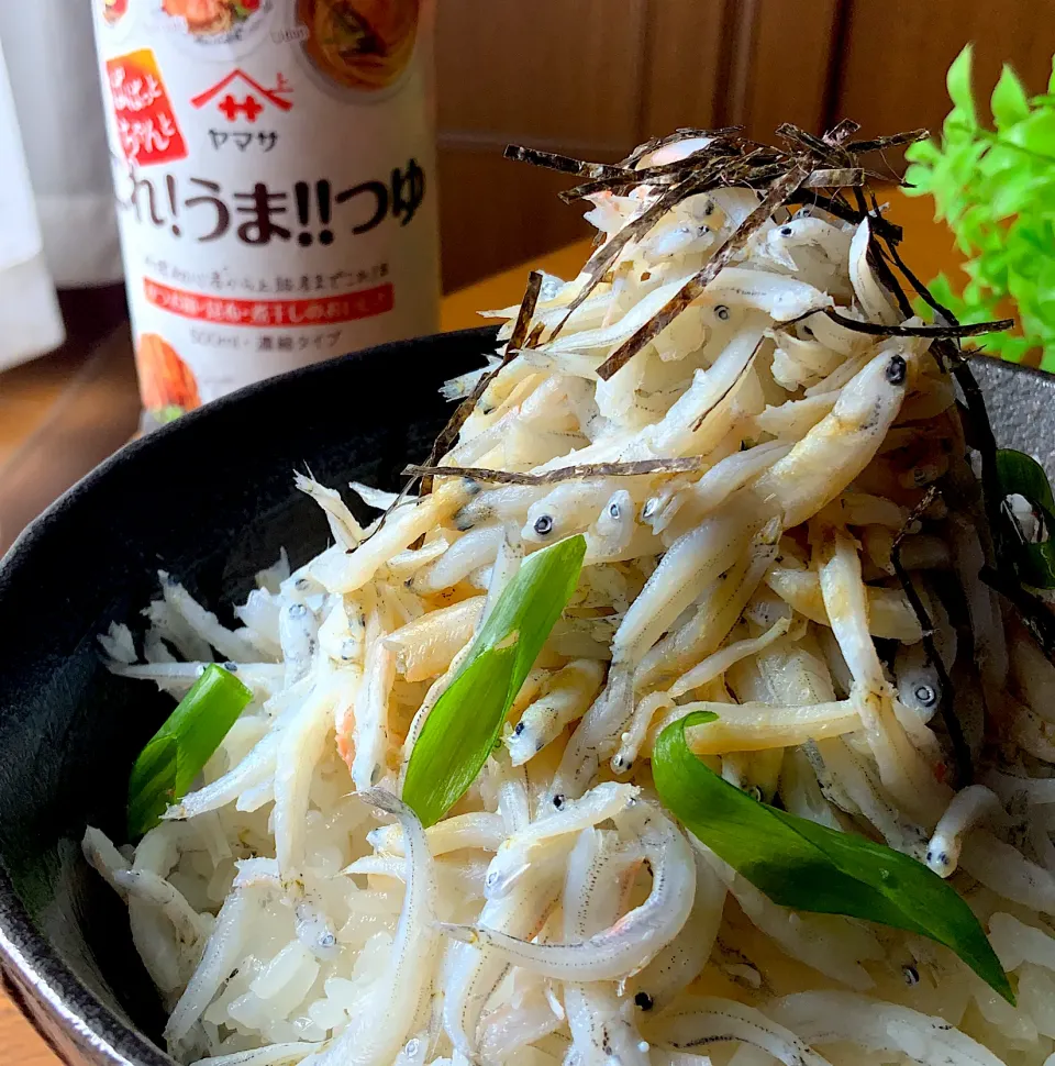 これうまつゆdeしらす丼|9421beruさん