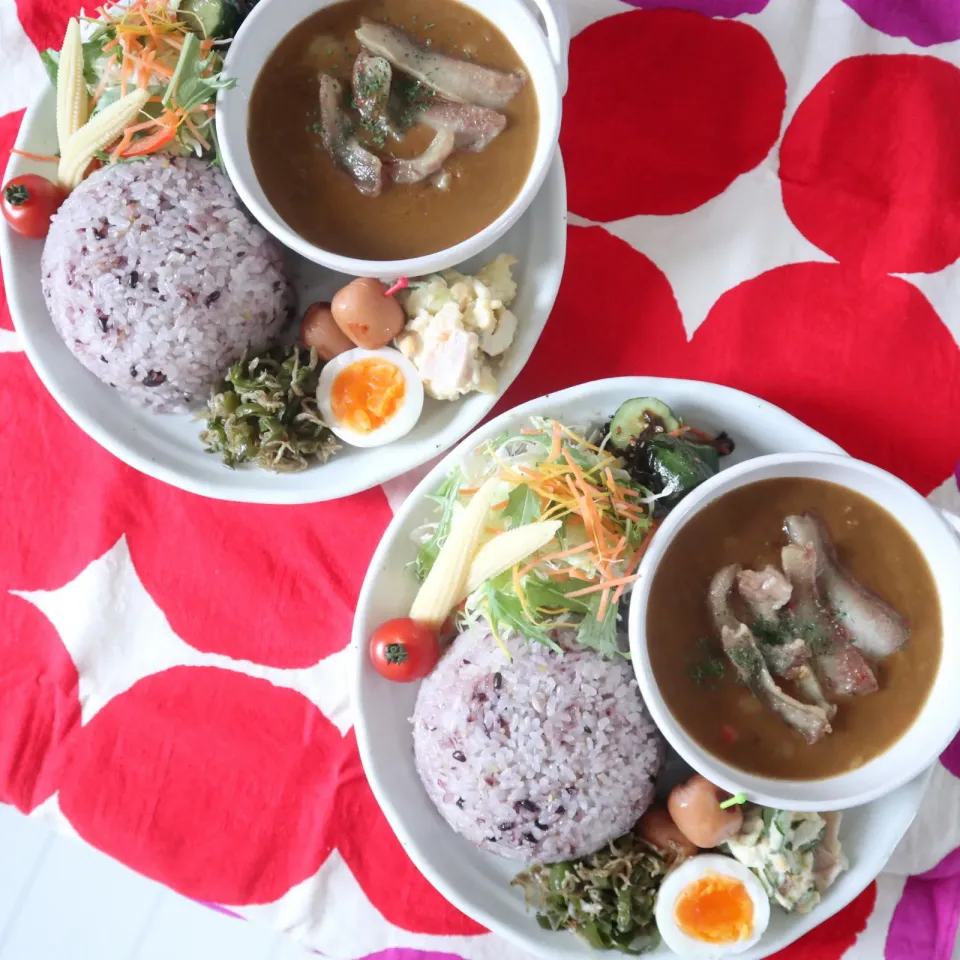 中学生男子置きランチ22日目🍱レトルトカレーのトンとろのせ|なかじー。さん