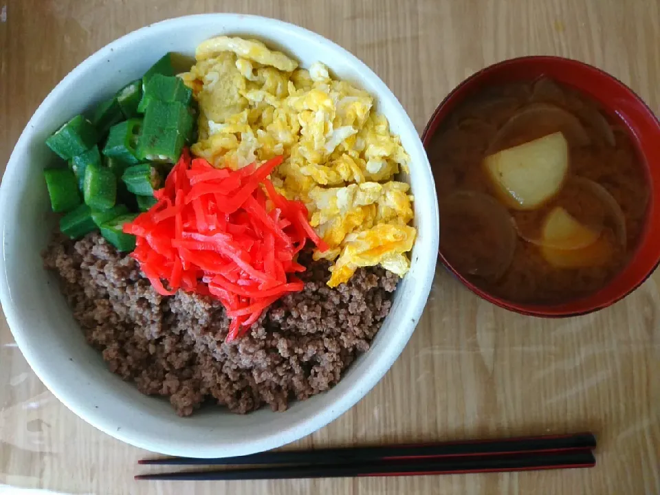 そぼろ丼と新玉ねぎ・新じゃがのおみそ汁|kadaoさん