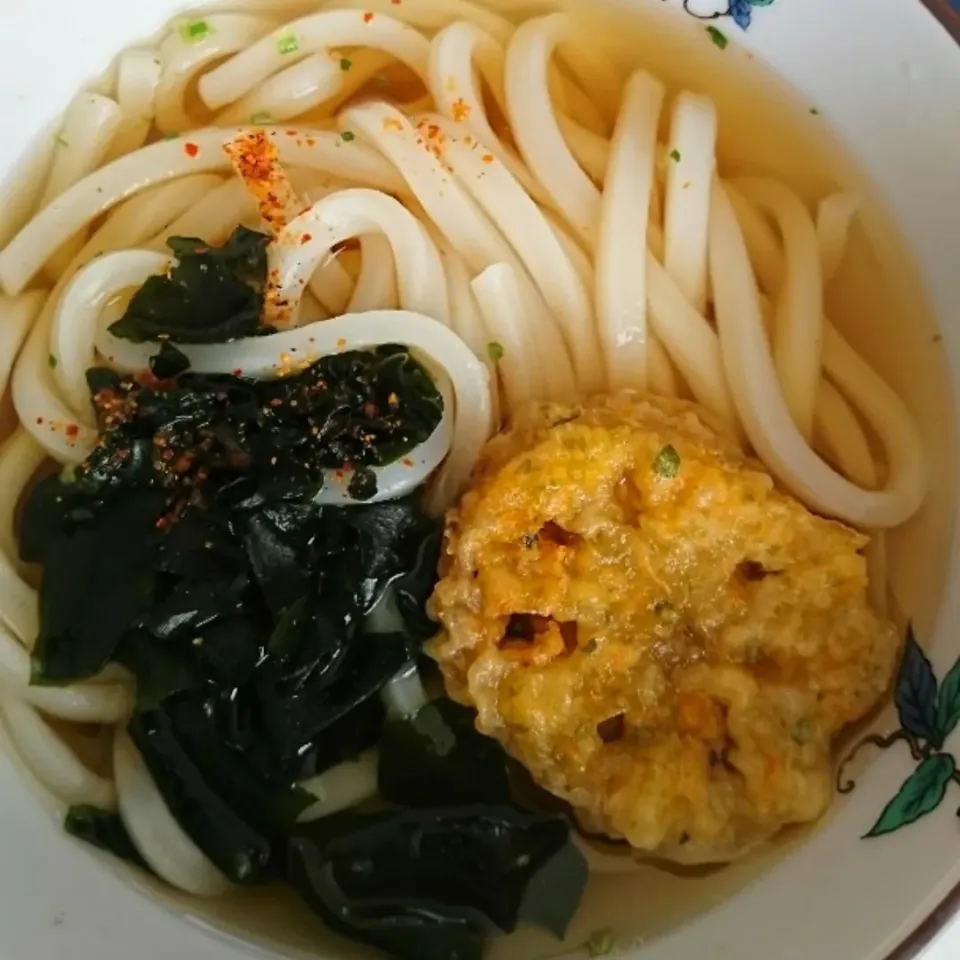 Snapdishの料理写真:お昼は冷凍うどん🍜|しまだ ちえこさん