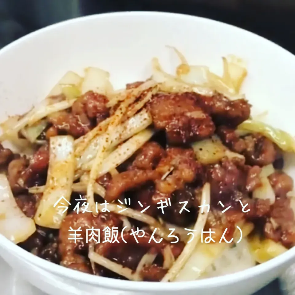 Snapdishの料理写真:今夜は成吉思汗鍋と羊肉飯(^^)|ばくあんしゃさん