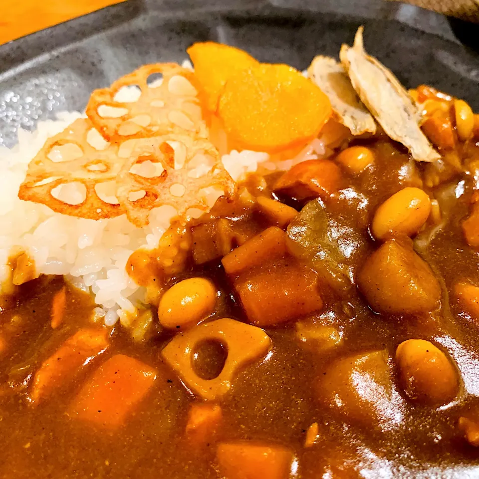 Snapdishの料理写真:根菜、鶏肉、大豆のカレー🍛トッピングに野菜チップス|いちごさん