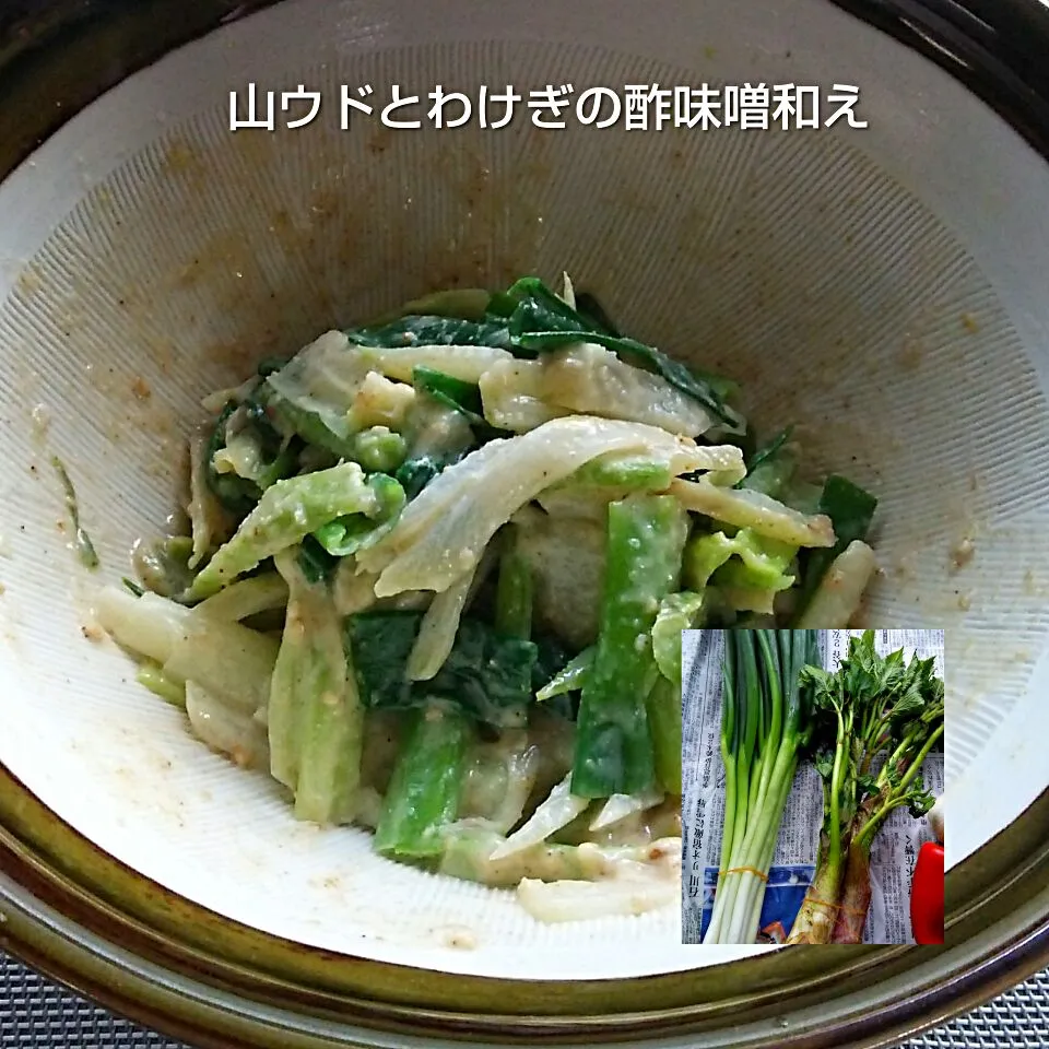 山ウドとわけぎの酢味噌和え🍀|ゆっこさん