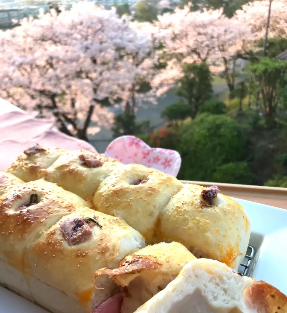 ４月4日、今日はあんパンの日🍞🌸桜満開おうち花見あんパンちぎりパン🍞|シュトママさん