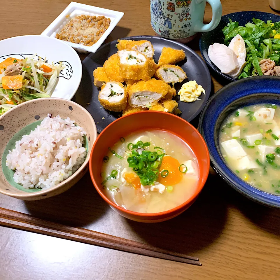 今日の晩ご飯|Miki Takeuchiさん