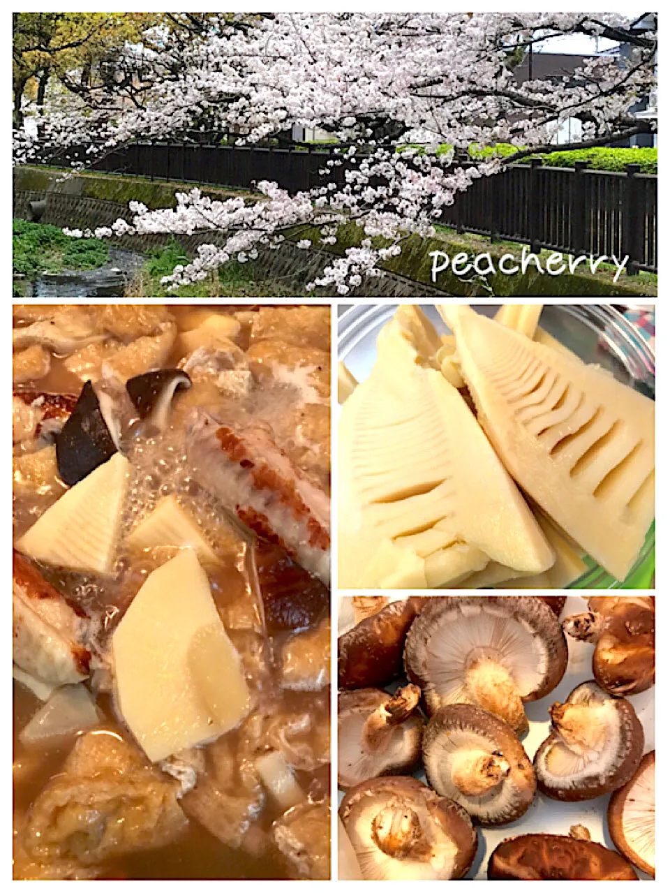 心友から春の贈り物・竹の子&椎茸🌸で煮物😊|☆ぴ〜ちゃん☆さん