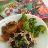 Snapdishの料理写真:Plate of fried rice with veggies and TKN seaweed, stir-fried vegetables, stewed pork|Nhiさん