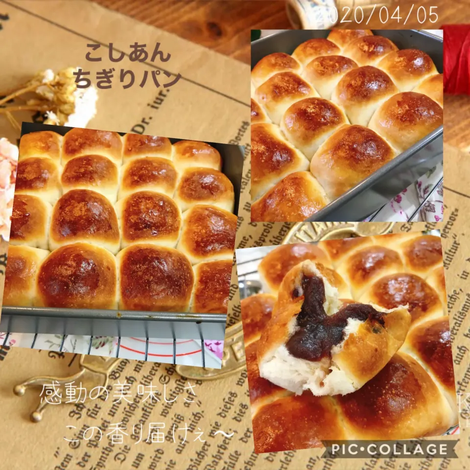 #こしあんを入れてちぎりパン🥯#もっちり柔らかほわんほわん👍#感動😂#大成功‼️ꉂꉂ(๑˃▿︎˂๑)ｧ,､'`#発酵がうまくいった👍|みすてりあすゆっこさん