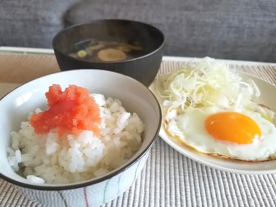 普通の朝ごはん
在宅11日目|しあるさん