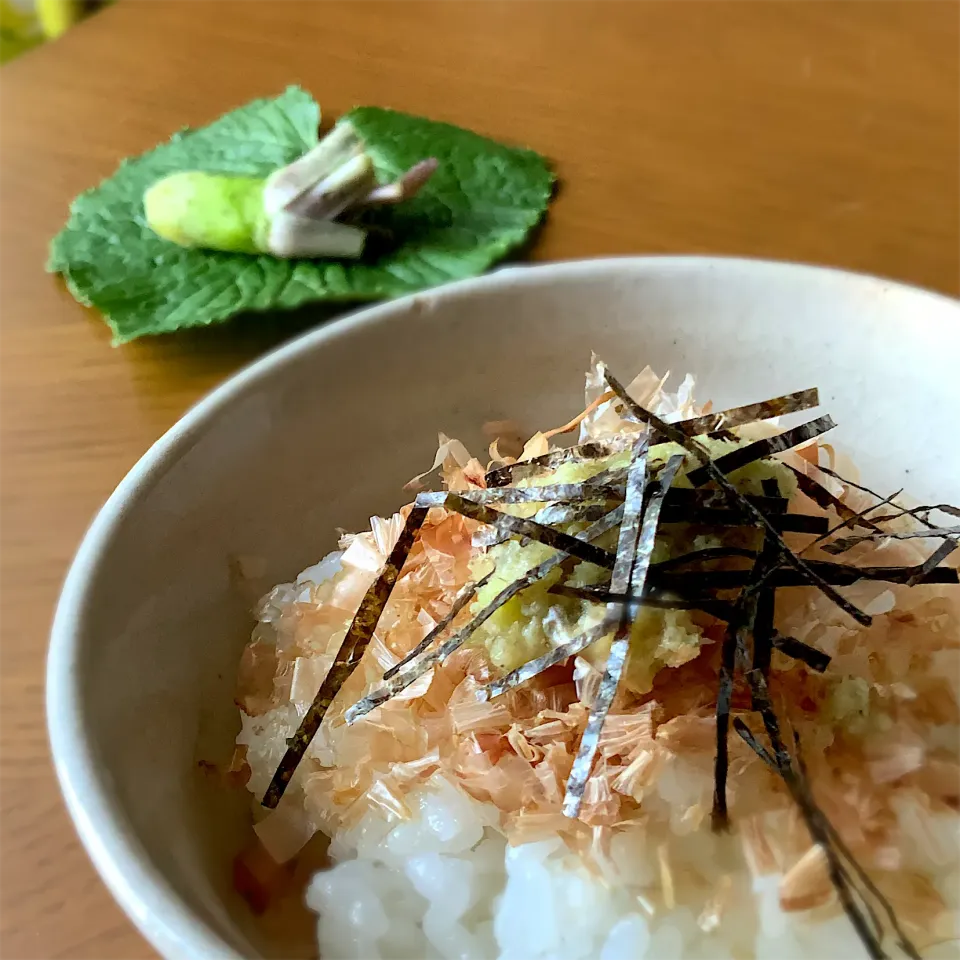 わさび丼|9421beruさん