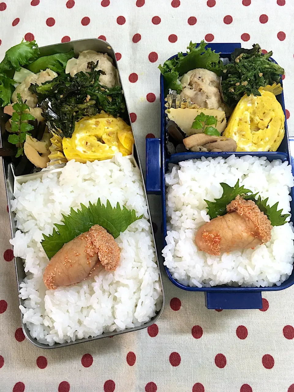 4月6日　週の始まり弁当🍱|sakuramochiさん