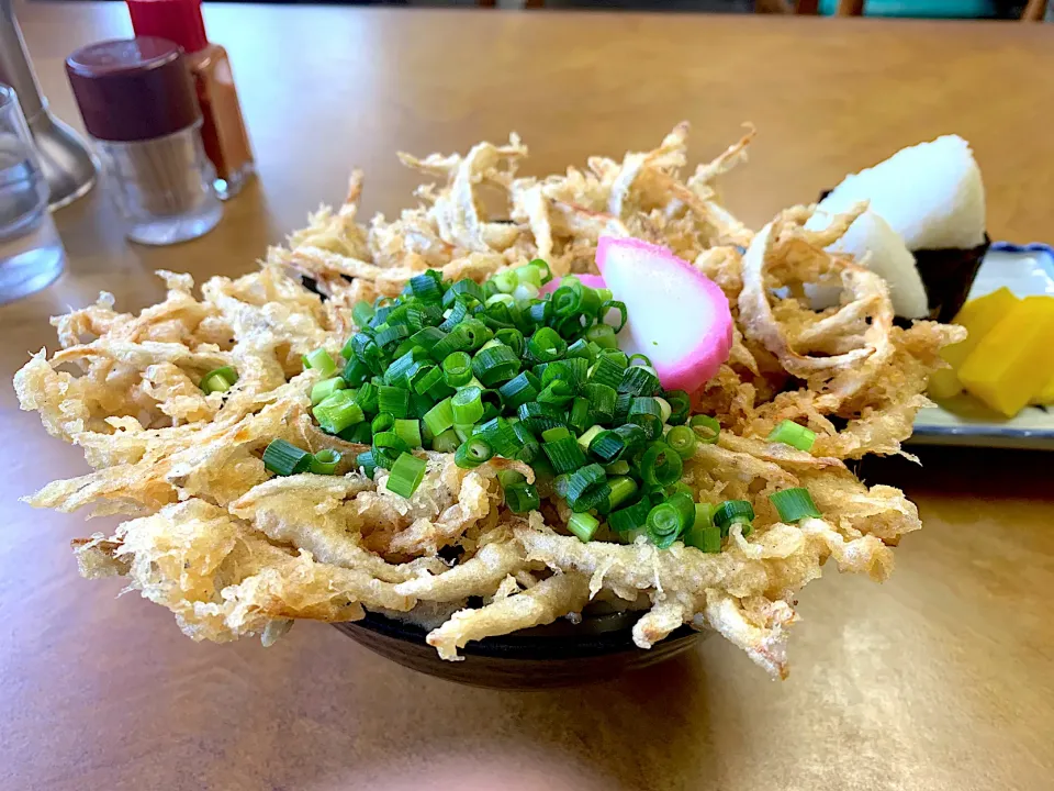 ごぼう天うどん|ぶりっとさん