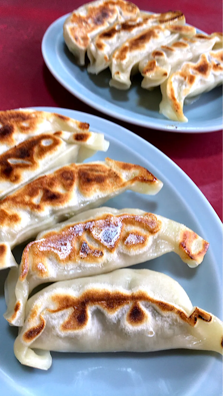 Snapdishの料理写真:珍来の焼き餃子。|ツンコロさん