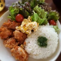 Snapdishの料理写真:お昼ゴハン☺ソースからあげワンプレート✨|ナッツさん