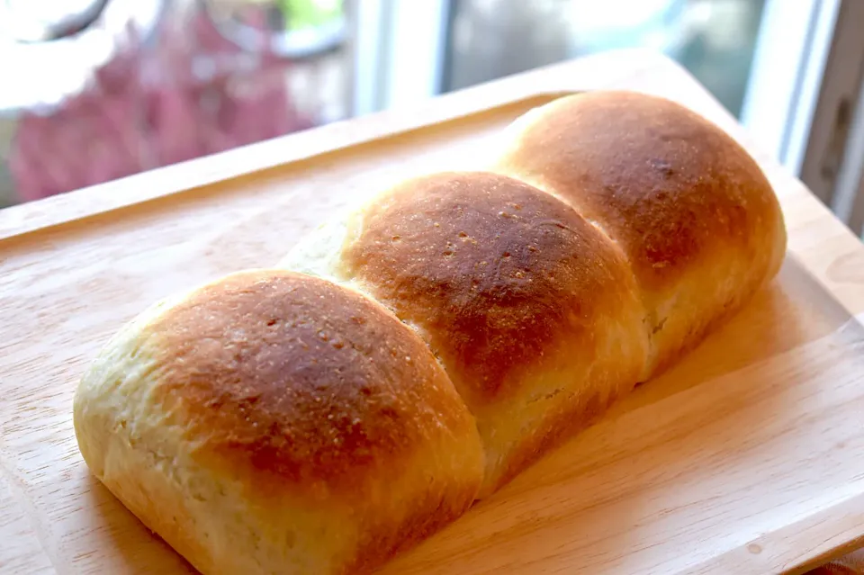 楽しくなってきた手ごねのパン作り🍞|mashaさん