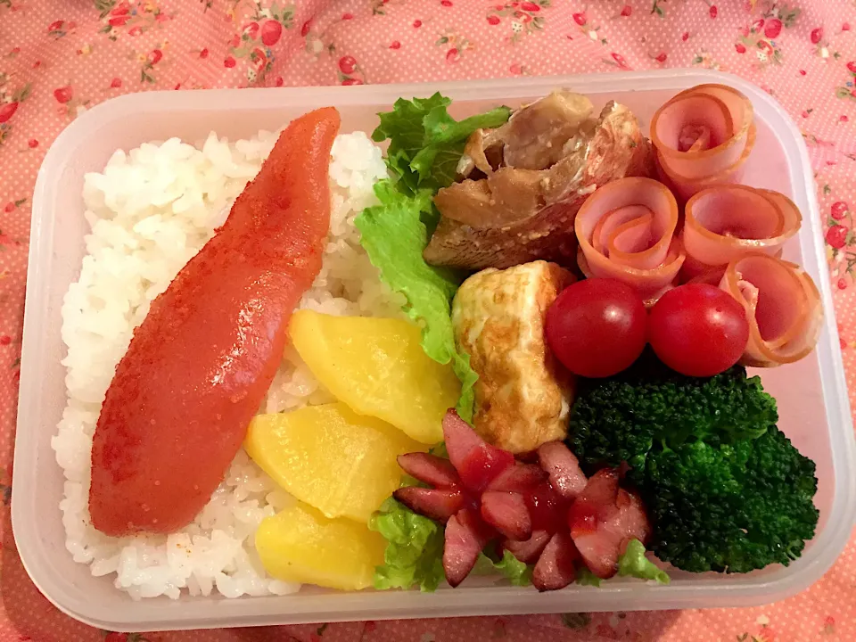 Snapdishの料理写真:お弁当🍱2020/04/08|Kodomo Cookingさん