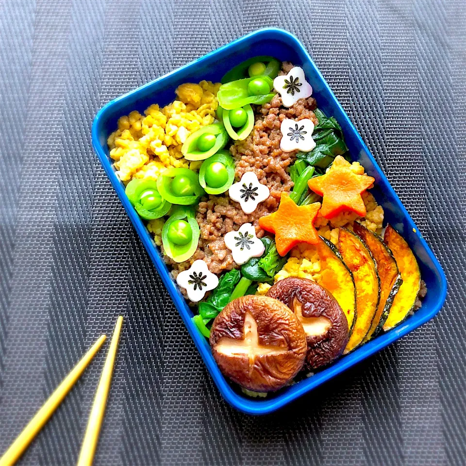 今日はそぼろご飯弁当|みゆ吉さん