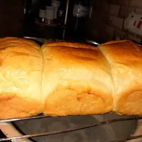 Snapdishの料理写真:fresh homemade bread|Mama Triniさん