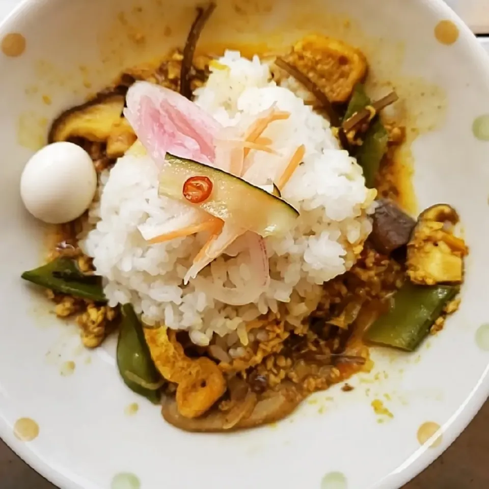 キヌサヤと椎茸とうすあげの鶏キーマカレーです。|ふじわらたくやさん