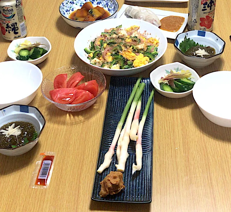 南国料理|共働き営業ウーマンの酒飲みご飯さん