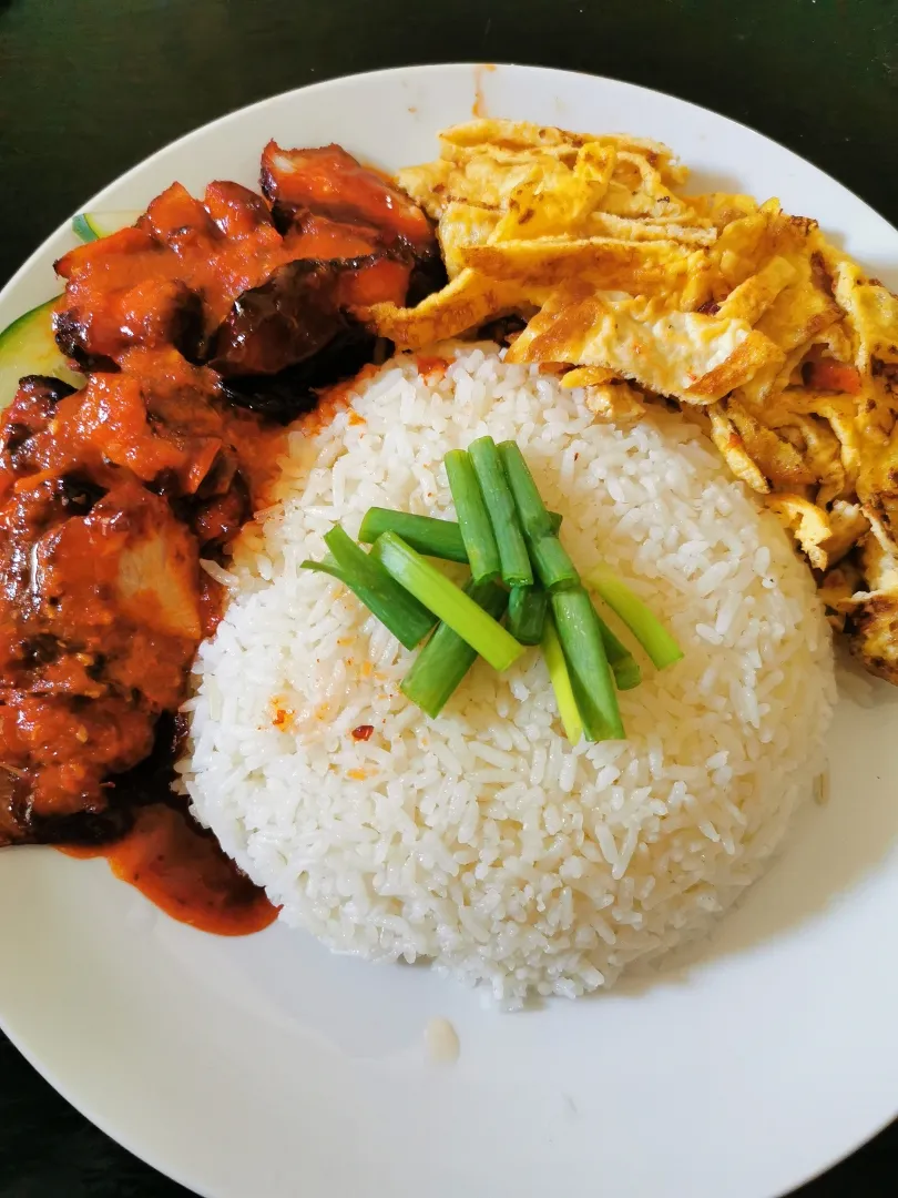 Homemade Char Siew Rice ❤️|Sephさん