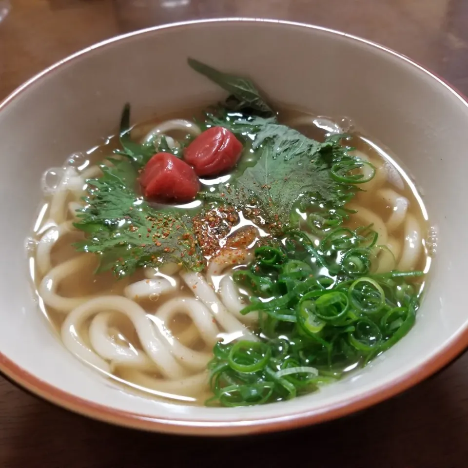 Snapdishの料理写真:お家うどん(^_^)v|森のプーさん 🍯(森　耕二)さん