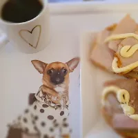 Frokost med svinekjøtt|Ole-Johnny Stangelandさん