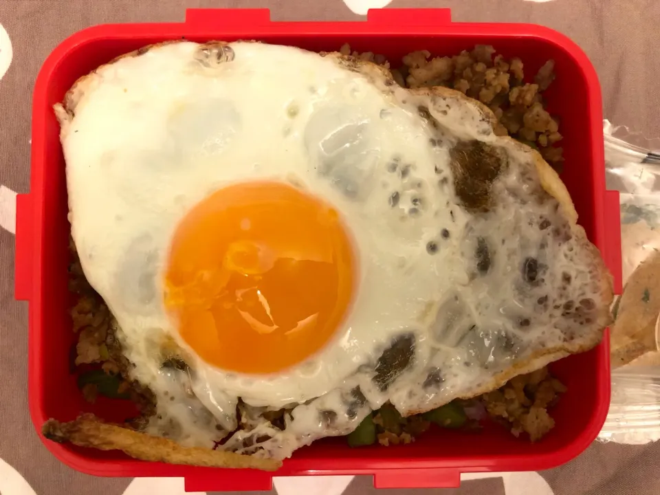 Snapdishの料理写真:ガパオ風ライス弁当|freeさん