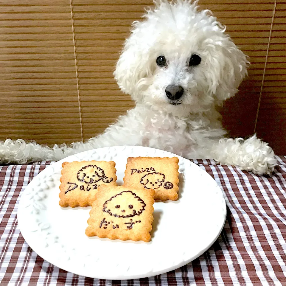 わんこのプリントクッキー🐩|Ｌilicaさん