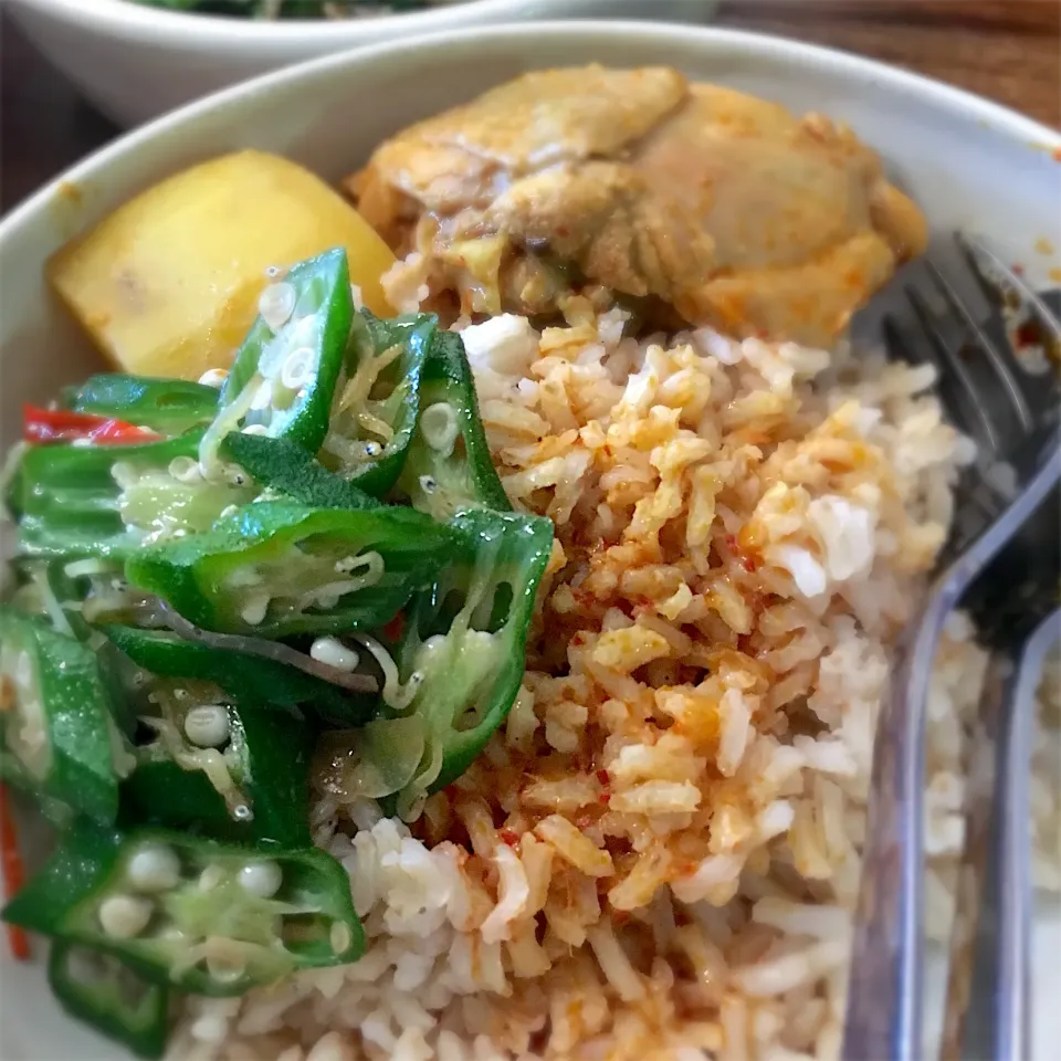 Snapdishの料理写真:Homecooked brown rice with stir-fried okra and chicken curry|karen limさん