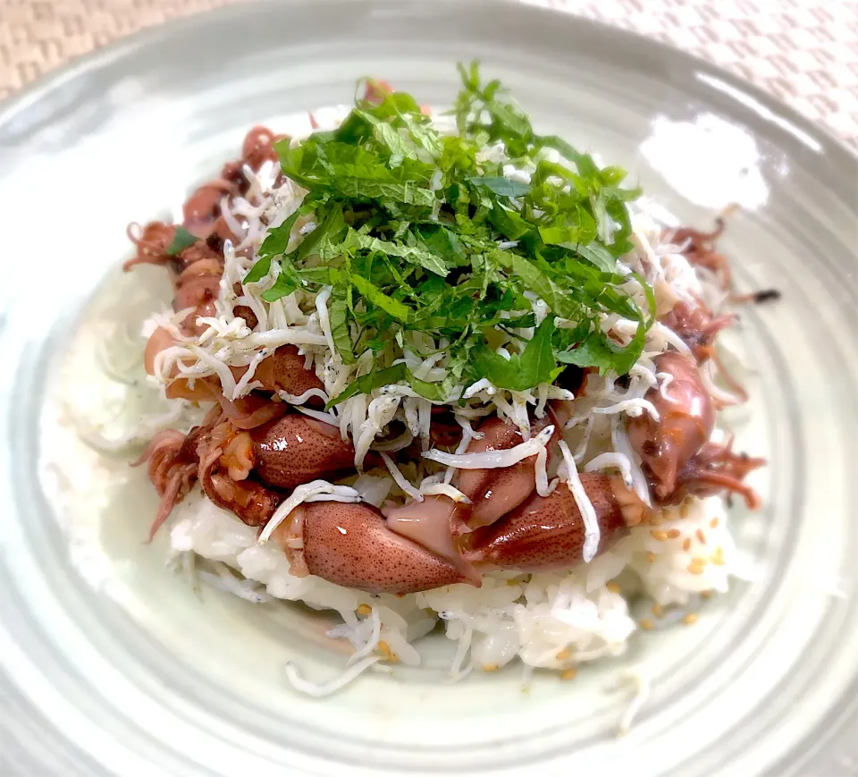 Snapdishの料理写真:ホタルイカしらす丼|buhizouさん