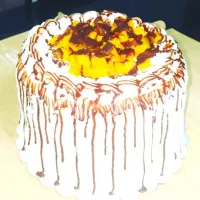 Mango Bravo by Contis|MrsJoyceeGeeさん