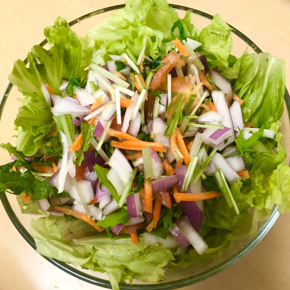 今日のサラダ4/11|としぼーさん