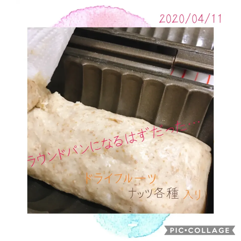 Snapdishの料理写真:#ドライフルーツ、カシューナッツ、マカダミアナッツ、ピスタチオ等々入れてラウンドパンを作る気満々‼️待てど暮らせど発酵が進まず…|みすてりあすゆっこさん