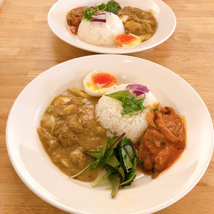 豚肉と白菜のクリームカレーときのこと　ほうれん草のトマトカレーのあいがけ|ちゃみこさん