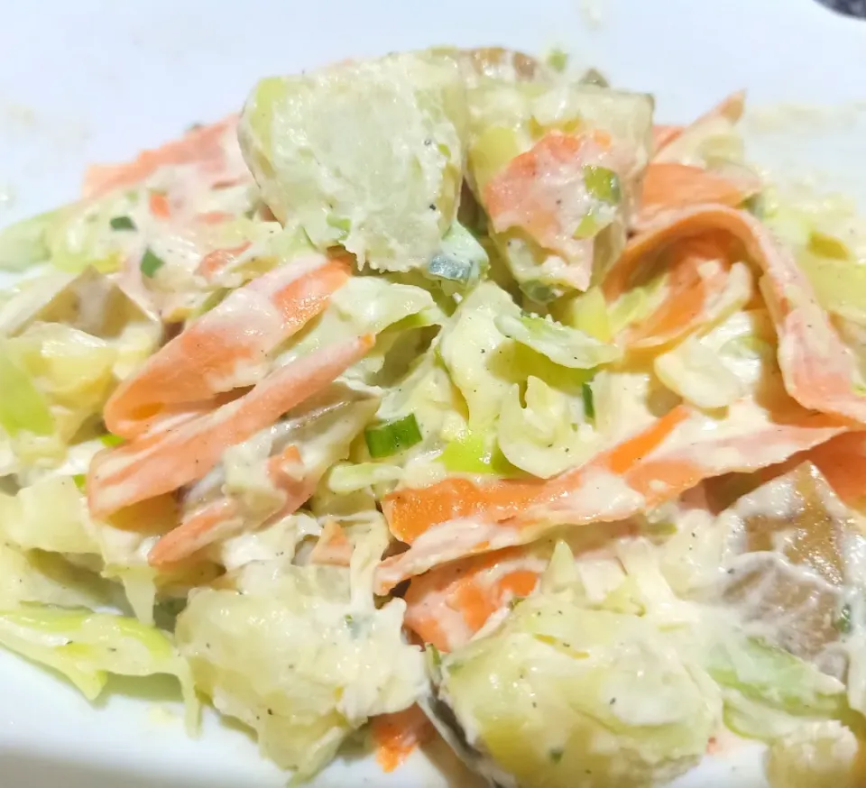 Creamy Potato Carrot Salad|The Wretched Chefさん